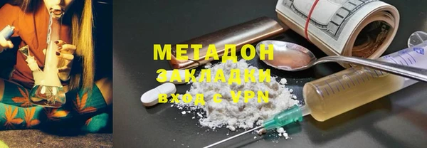 индика Алексин