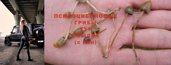 трава Алзамай