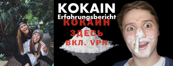 индика Алексин