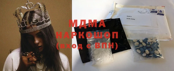 индика Алексин
