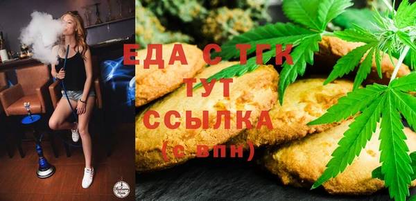 индика Алексин