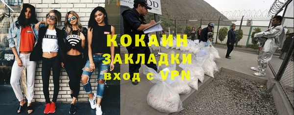 индика Алексин