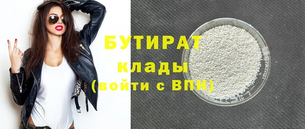 индика Алексин